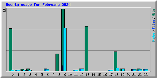 Hourly usage for February 2024