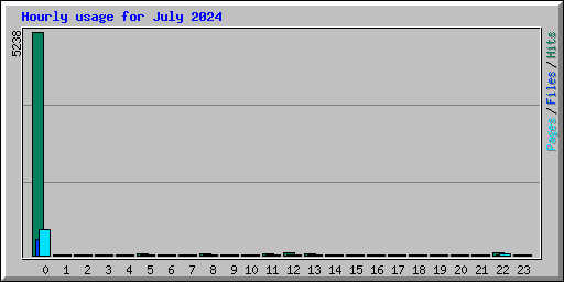 Hourly usage for July 2024
