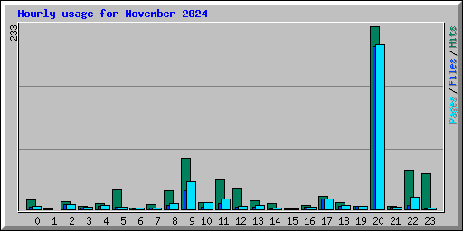 Hourly usage for November 2024