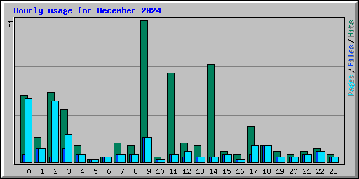 Hourly usage for December 2024