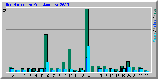 Hourly usage for January 2025