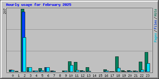 Hourly usage for February 2025