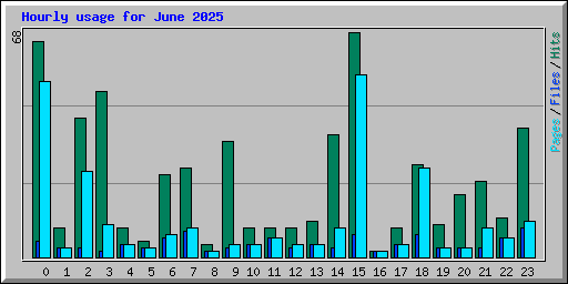 Hourly usage for June 2025