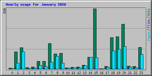 Hourly usage for January 2026