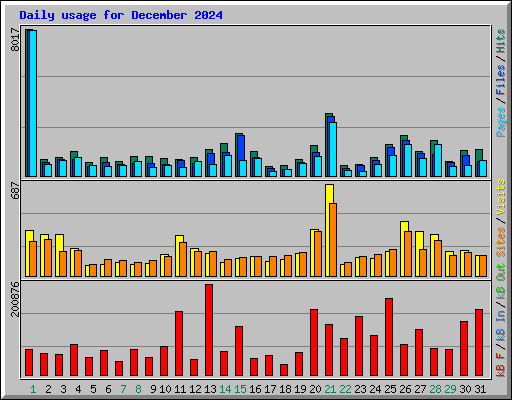 Daily usage for December 2024