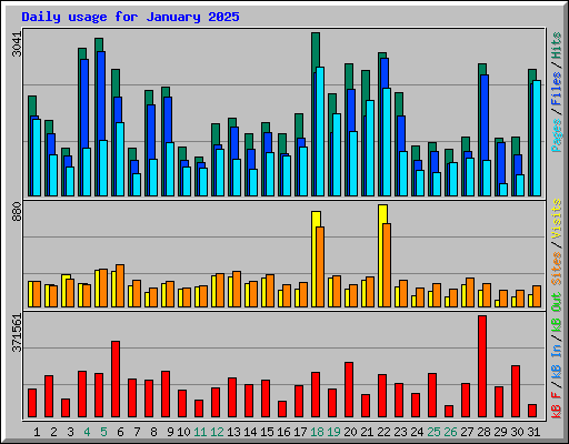 Daily usage for January 2025
