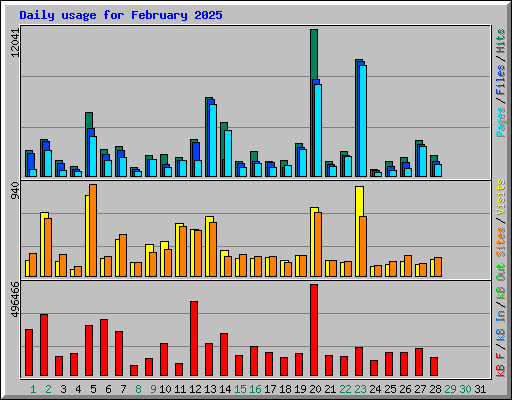 Daily usage for February 2025