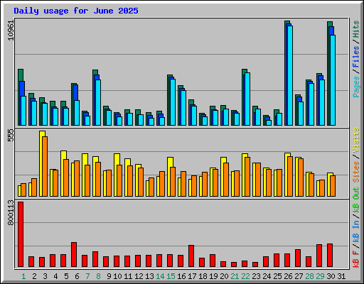 Daily usage for June 2025