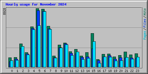 Hourly usage for November 2024