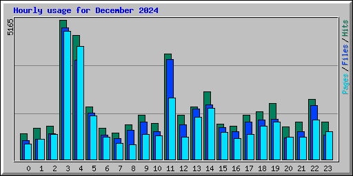 Hourly usage for December 2024