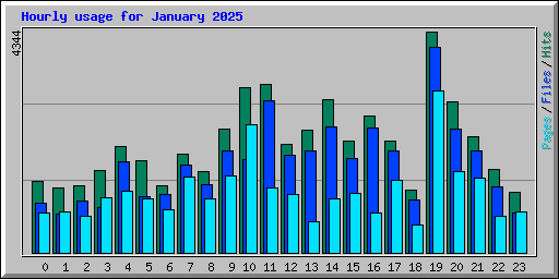 Hourly usage for January 2025