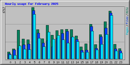 Hourly usage for February 2025
