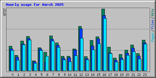 Hourly usage for March 2025