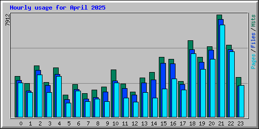 Hourly usage for April 2025