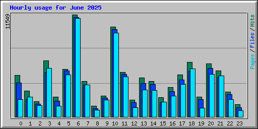Hourly usage for June 2025