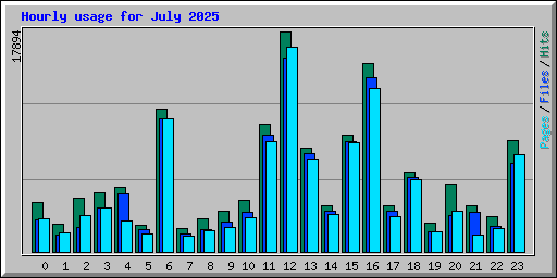 Hourly usage for July 2025