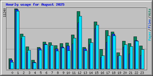 Hourly usage for August 2025