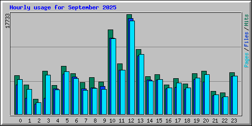 Hourly usage for September 2025