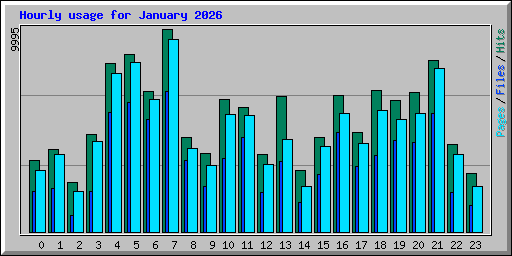 Hourly usage for January 2026