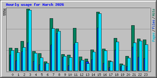 Hourly usage for March 2026