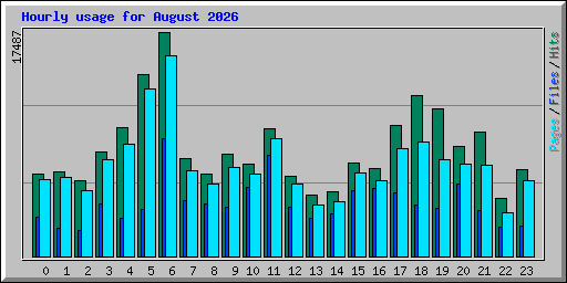 Hourly usage for August 2026